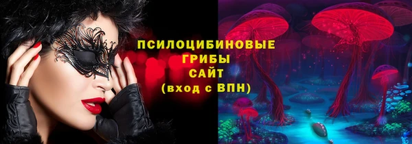 2c-b Гусиноозёрск