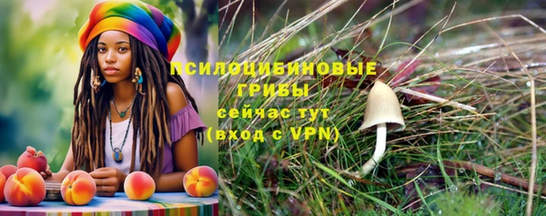 марки lsd Гусь-Хрустальный