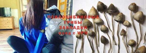 2c-b Гусиноозёрск