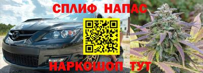 гашик Волжск