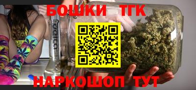 дмт Гай