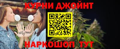 дмт Гай