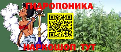 дмт Гай