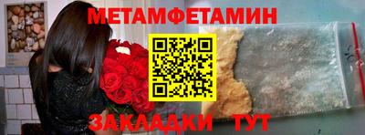 прущие грибы Гатчина