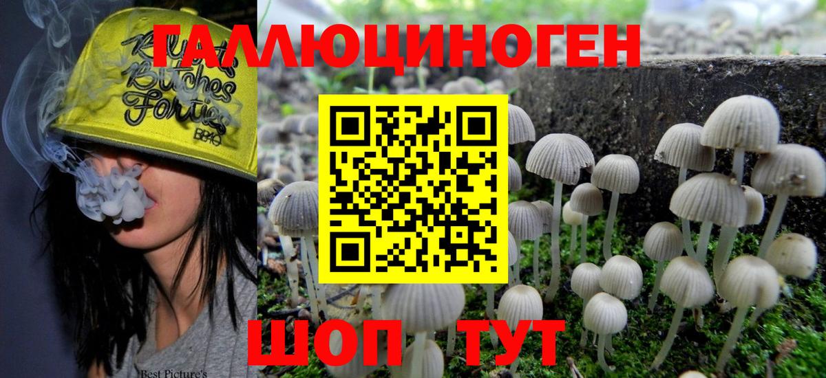 Галлюциногенные грибы мицелий  Галлюциногенные грибы ЛСД  Мурино  наркошоп  Вход с VPN 