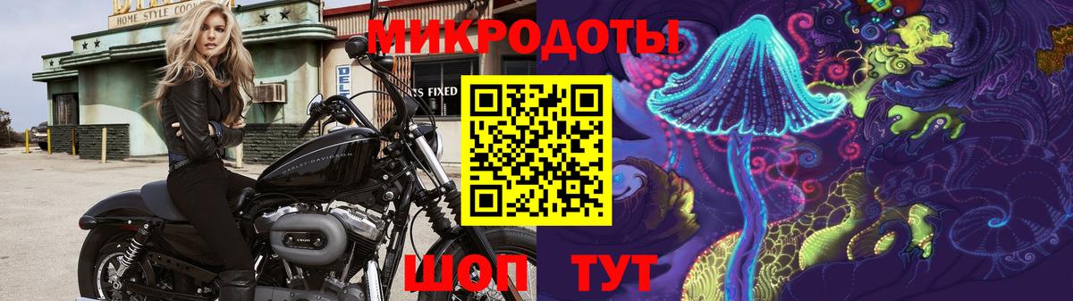 Галлюциногенные грибы прущие грибы  Мурино  Псилоцибиновые грибы Cubensis 