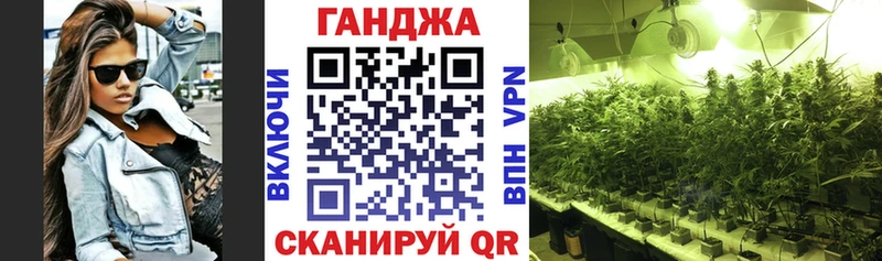 закладки  Мурино  Конопля сатива 
