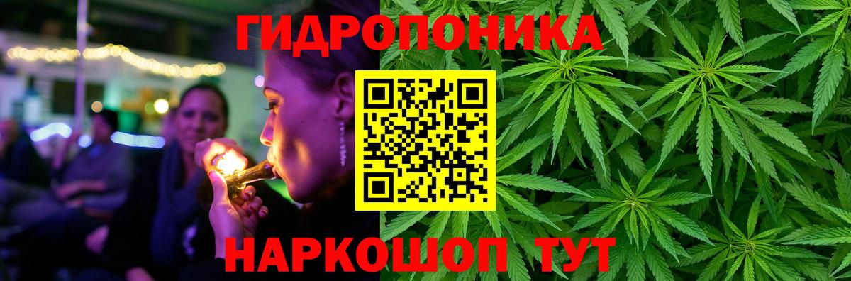 Мурино  Бошки марихуана сатива  Вход с VPN  Бошки марихуана марихуана  Марихуана Ganja 